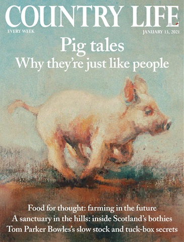 Country Life issue 13-Jan-2021