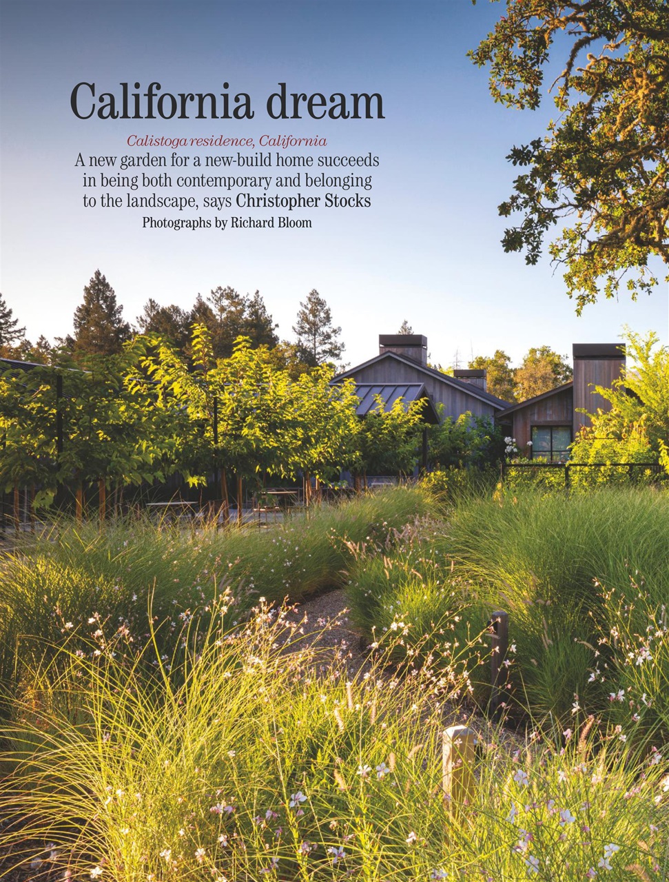 Country Life Preview Pages