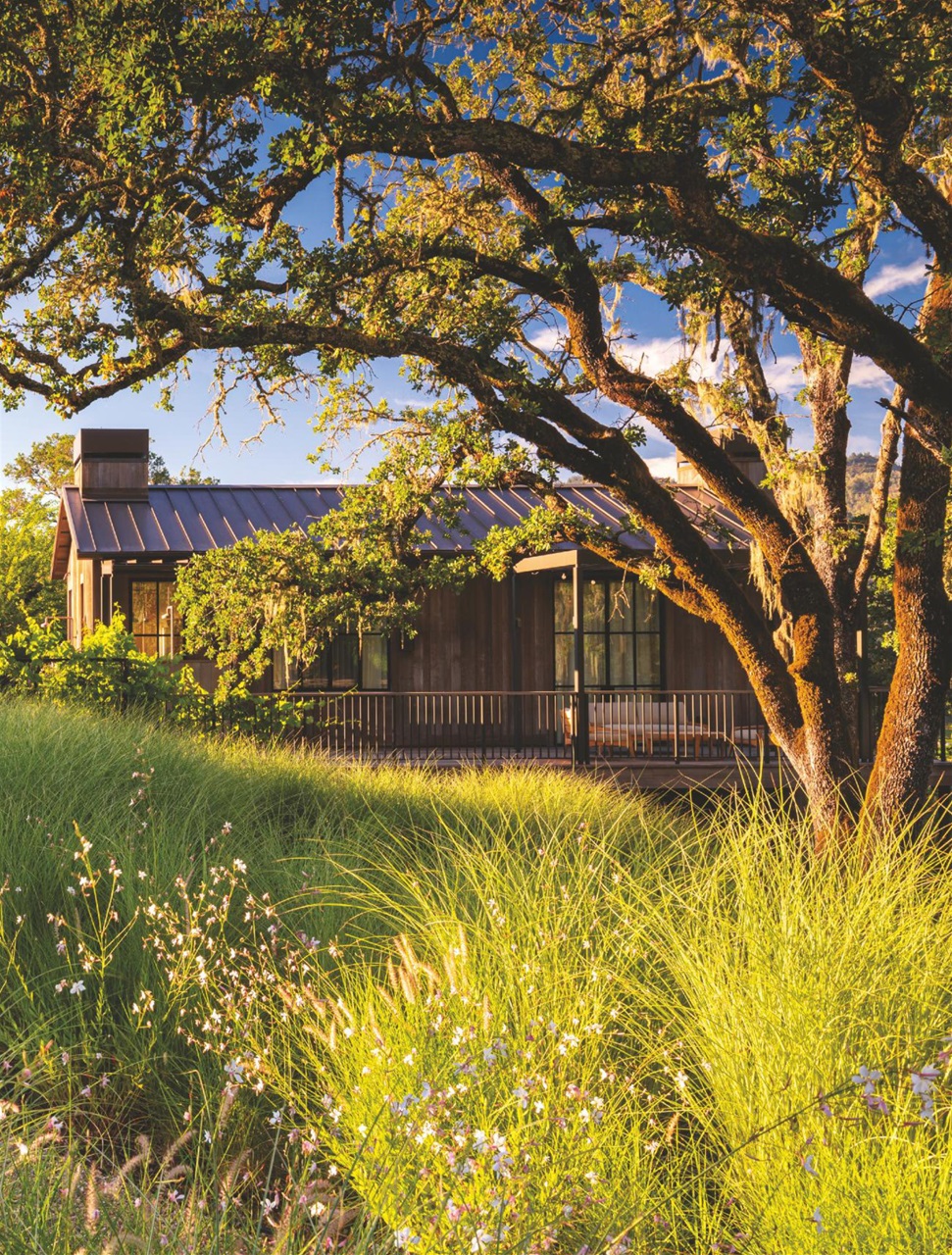 Country Life Preview Pages