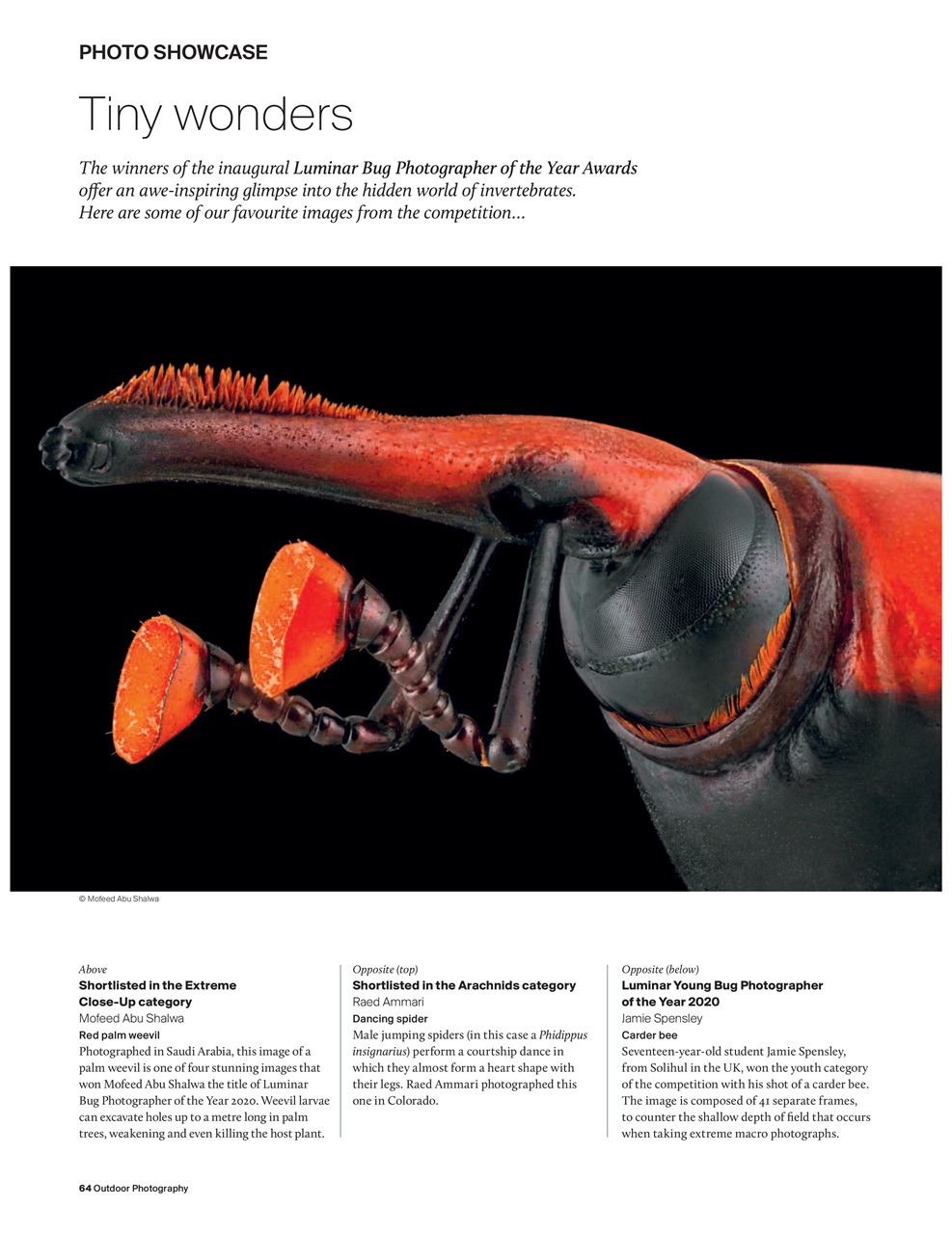 Outdoor Photography Preview Pages