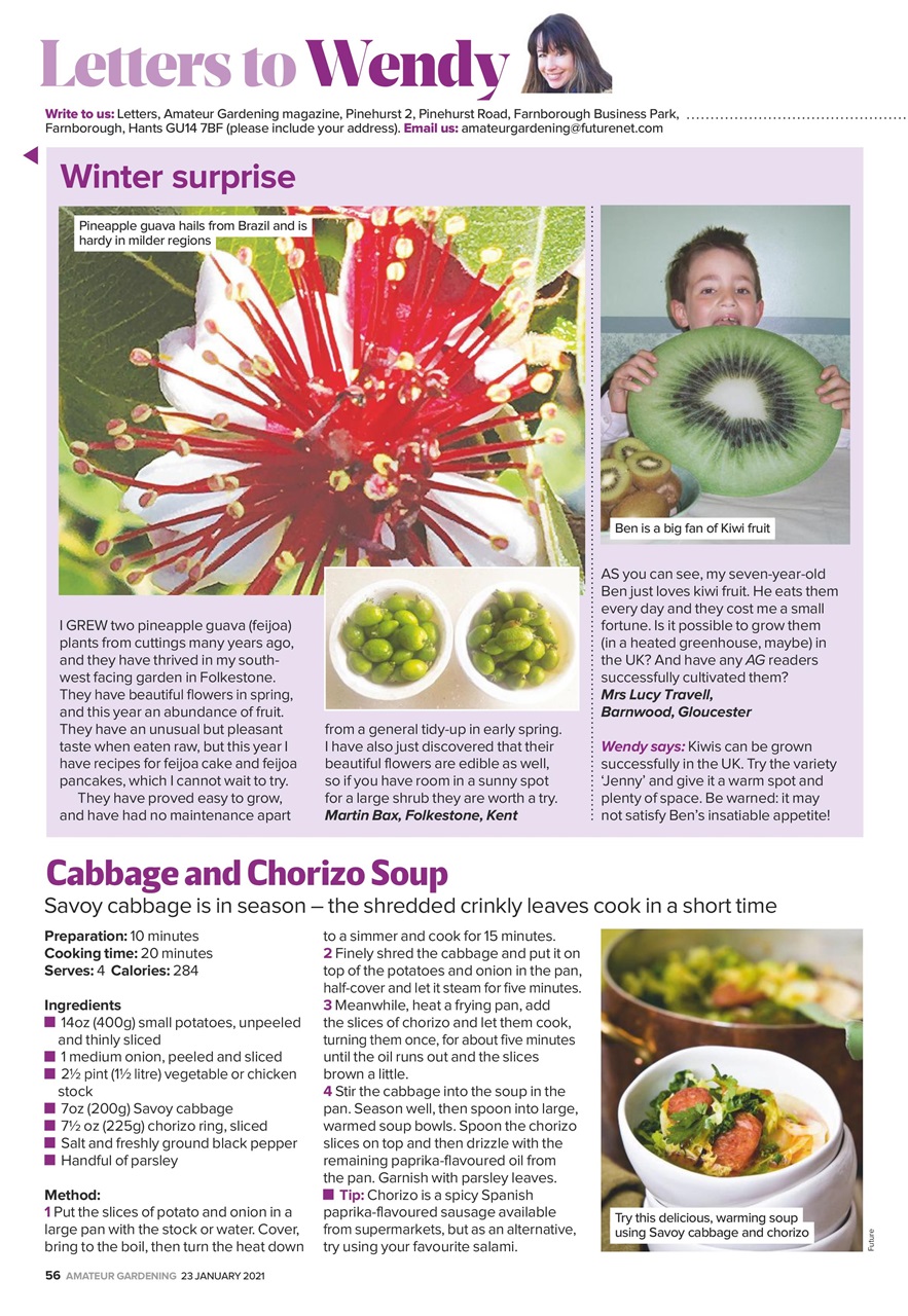 Amateur Gardening Preview Pages