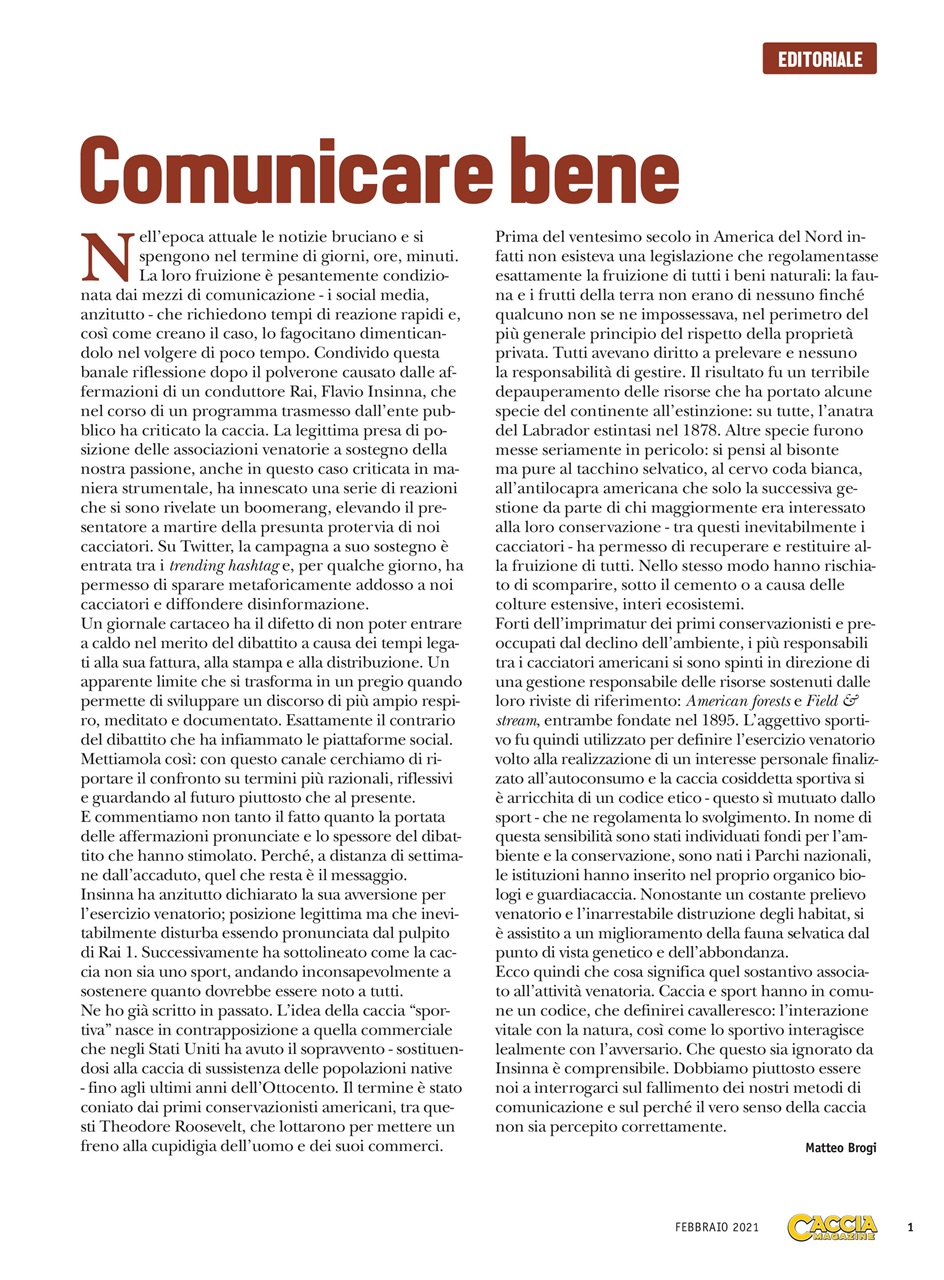 Caccia Magazine Preview Pages