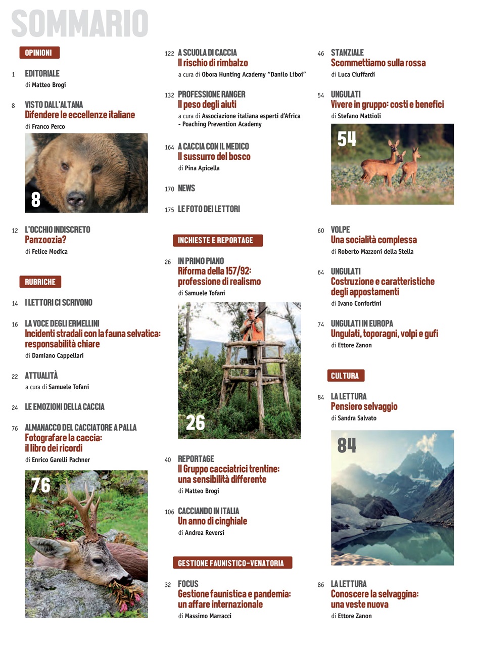 Caccia Magazine Preview Pages