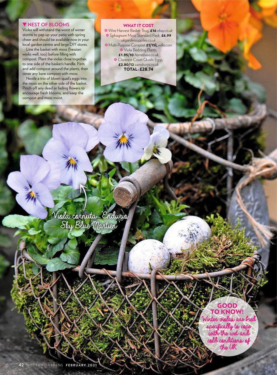 Modern Gardens Preview Pages