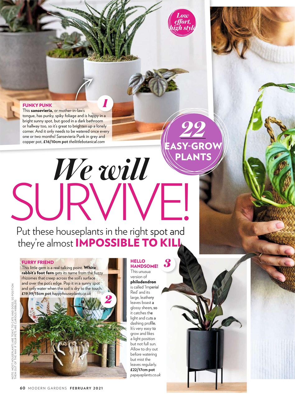 Modern Gardens Preview Pages