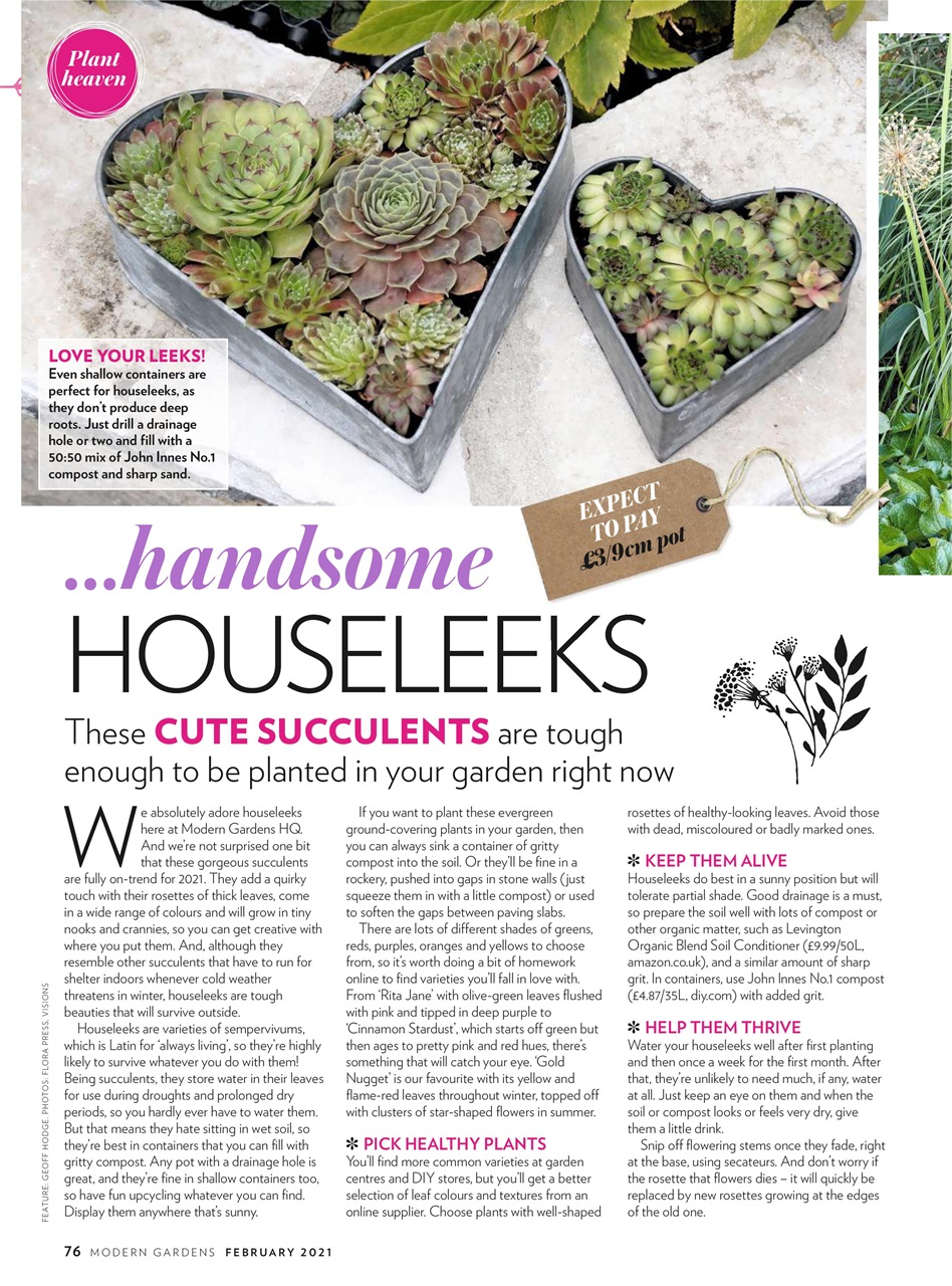 Modern Gardens Preview Pages