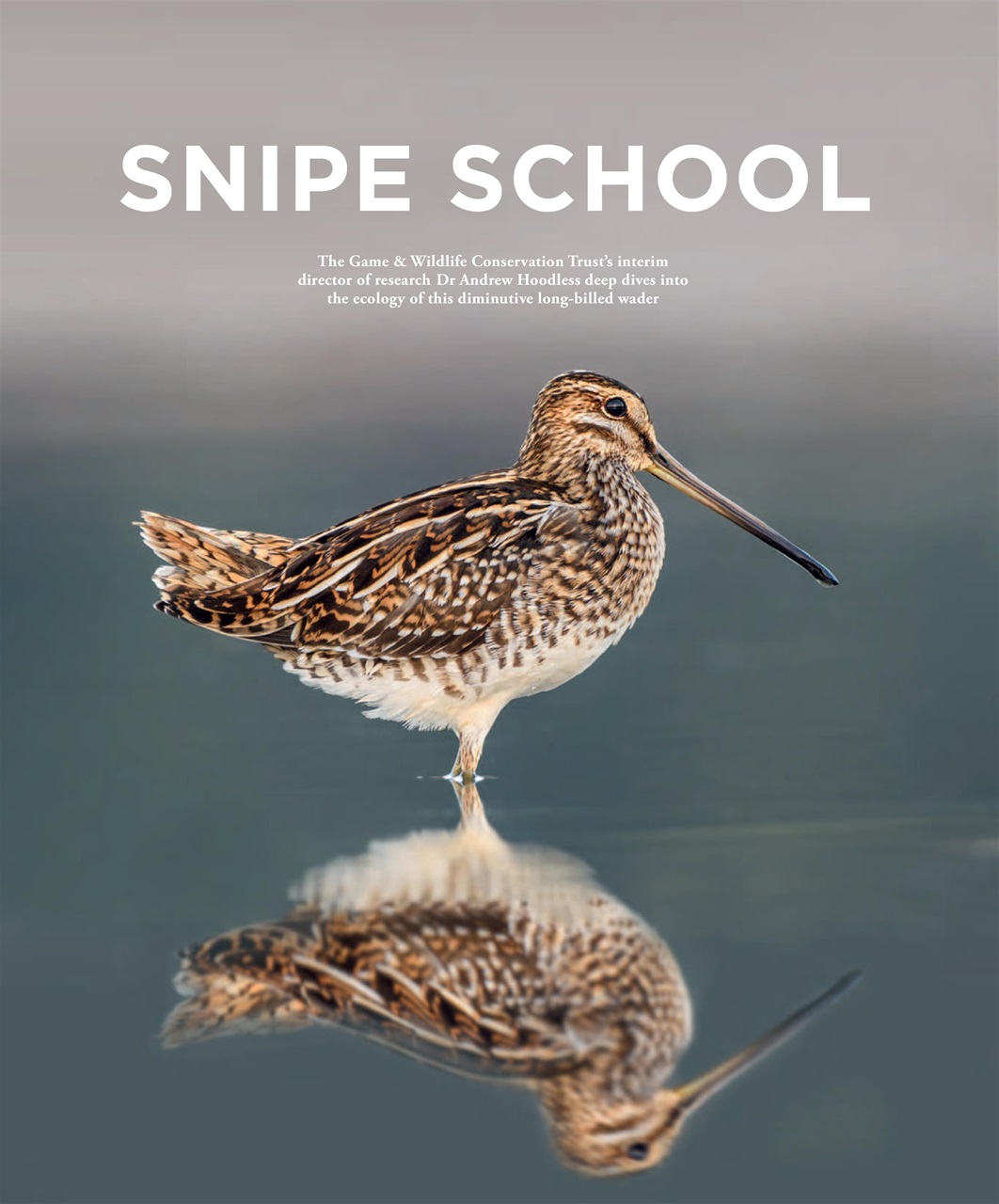 Fieldsports Journal Preview Pages