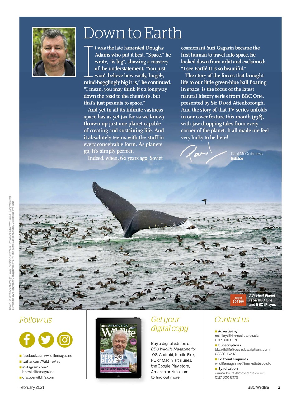 BBC Wildlife Magazine Preview Pages