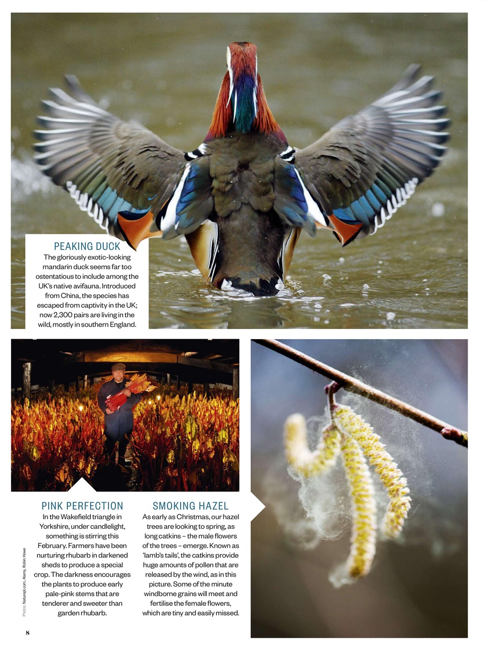 BBC Countryfile Magazine Preview Pages
