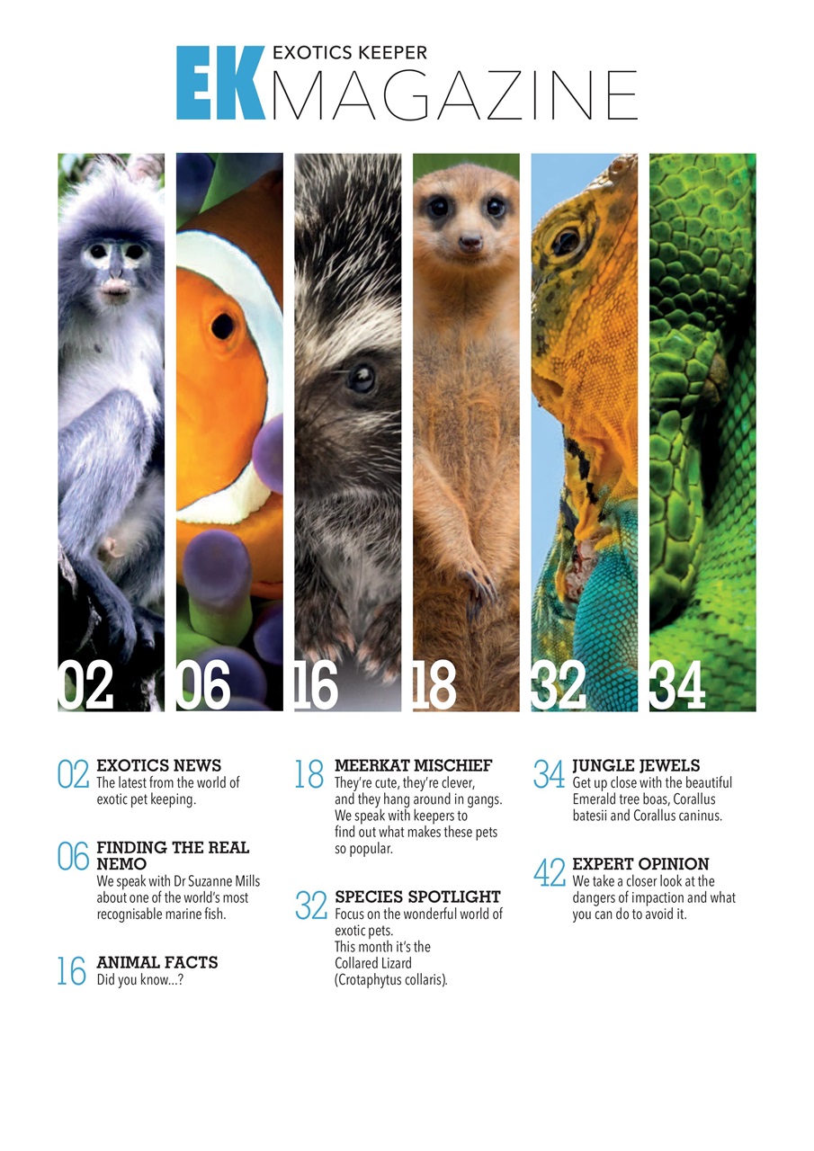 Exotics Keeper Preview Pages