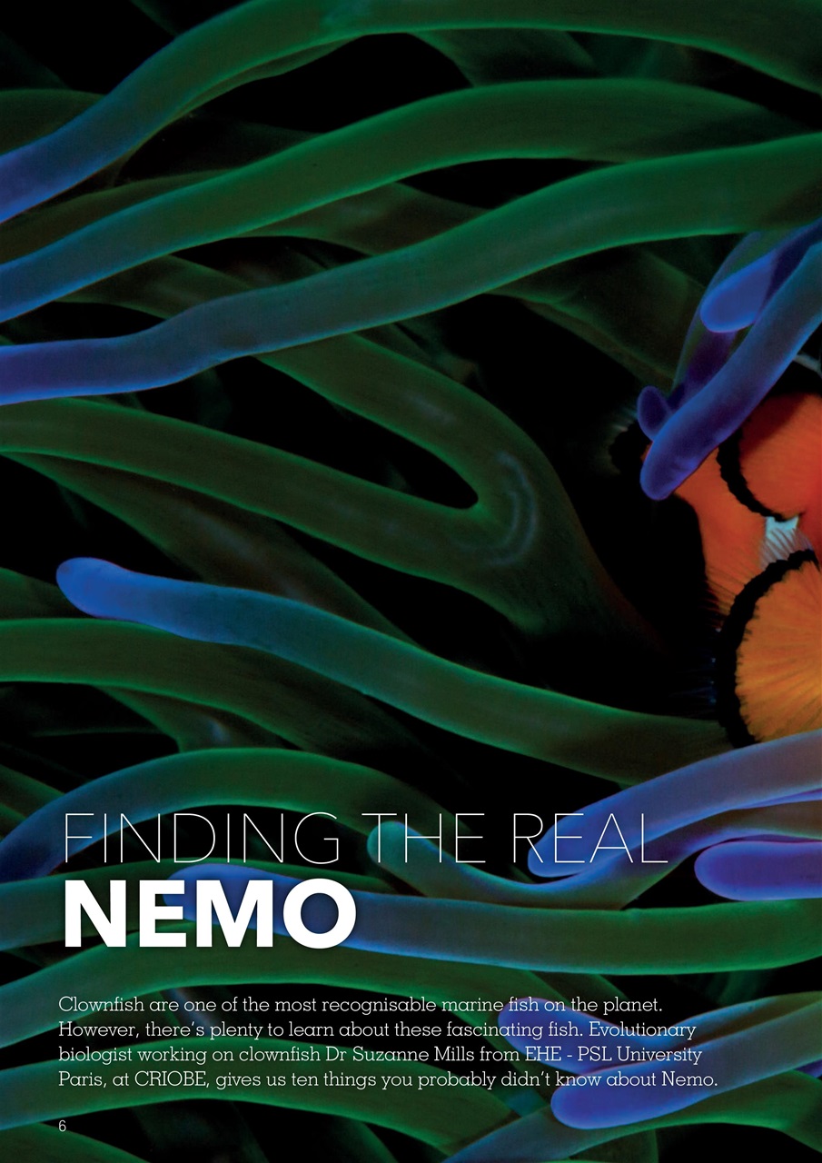 Exotics Keeper Preview Pages