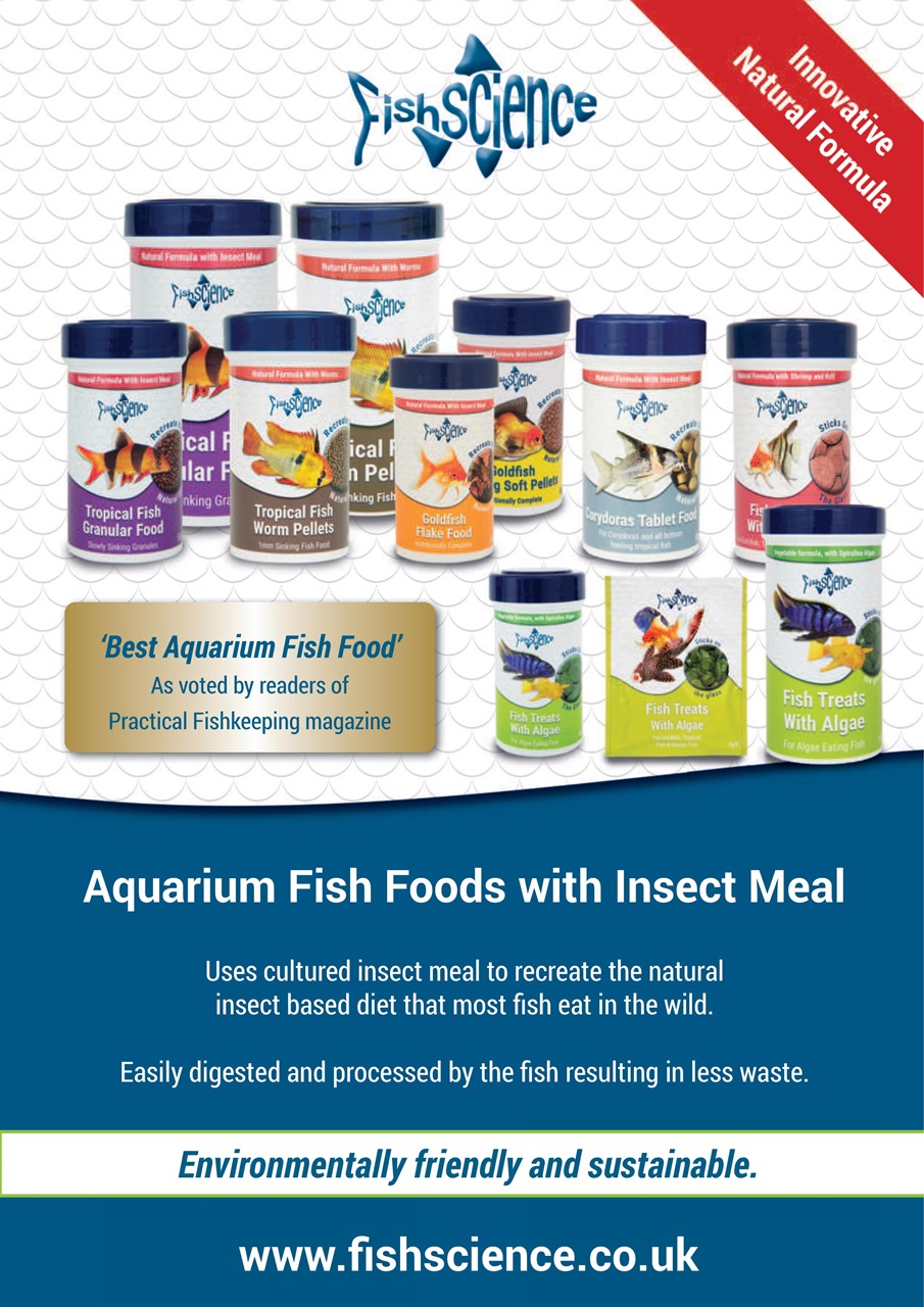 Exotics Keeper Preview Pages