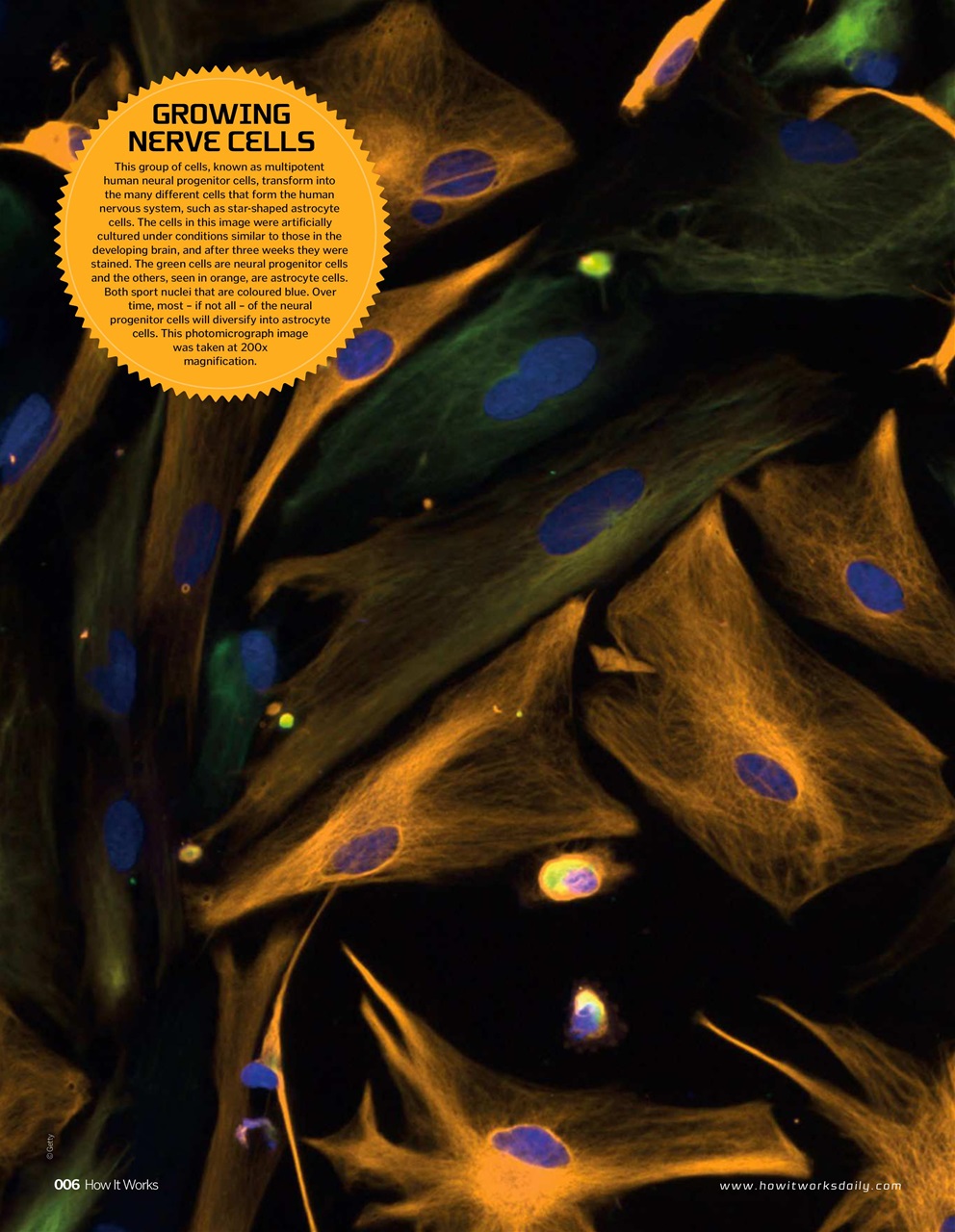 How It Works Preview Pages