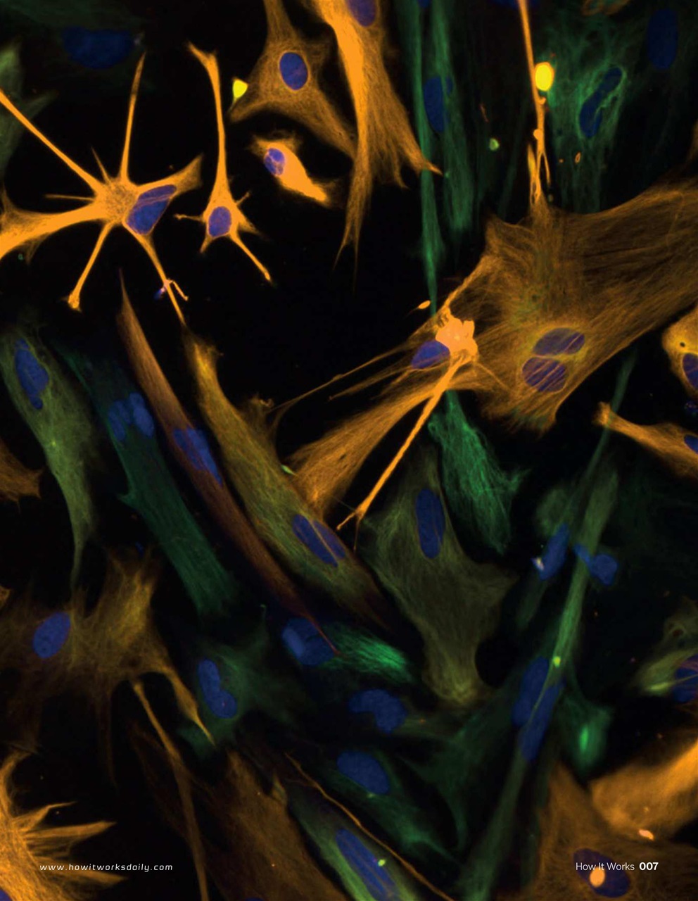 How It Works Preview Pages