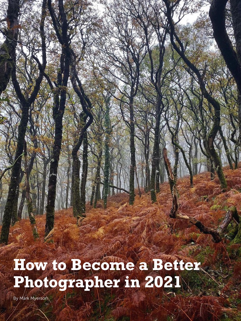 Mobiography Preview Pages