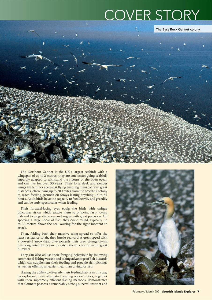 Scottish Islands Explorer Preview Pages