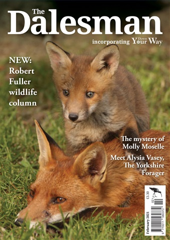 The Yorkshire Dalesman issue February 2021