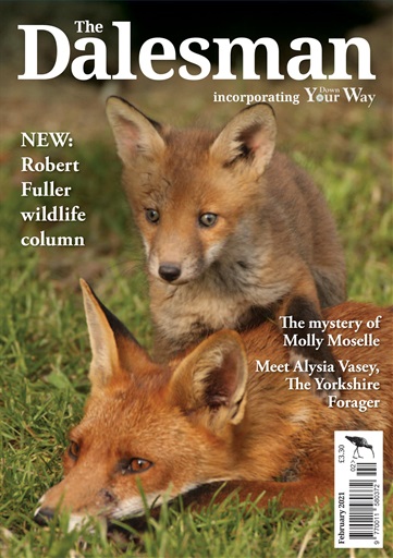 The Yorkshire Dalesman issue 
