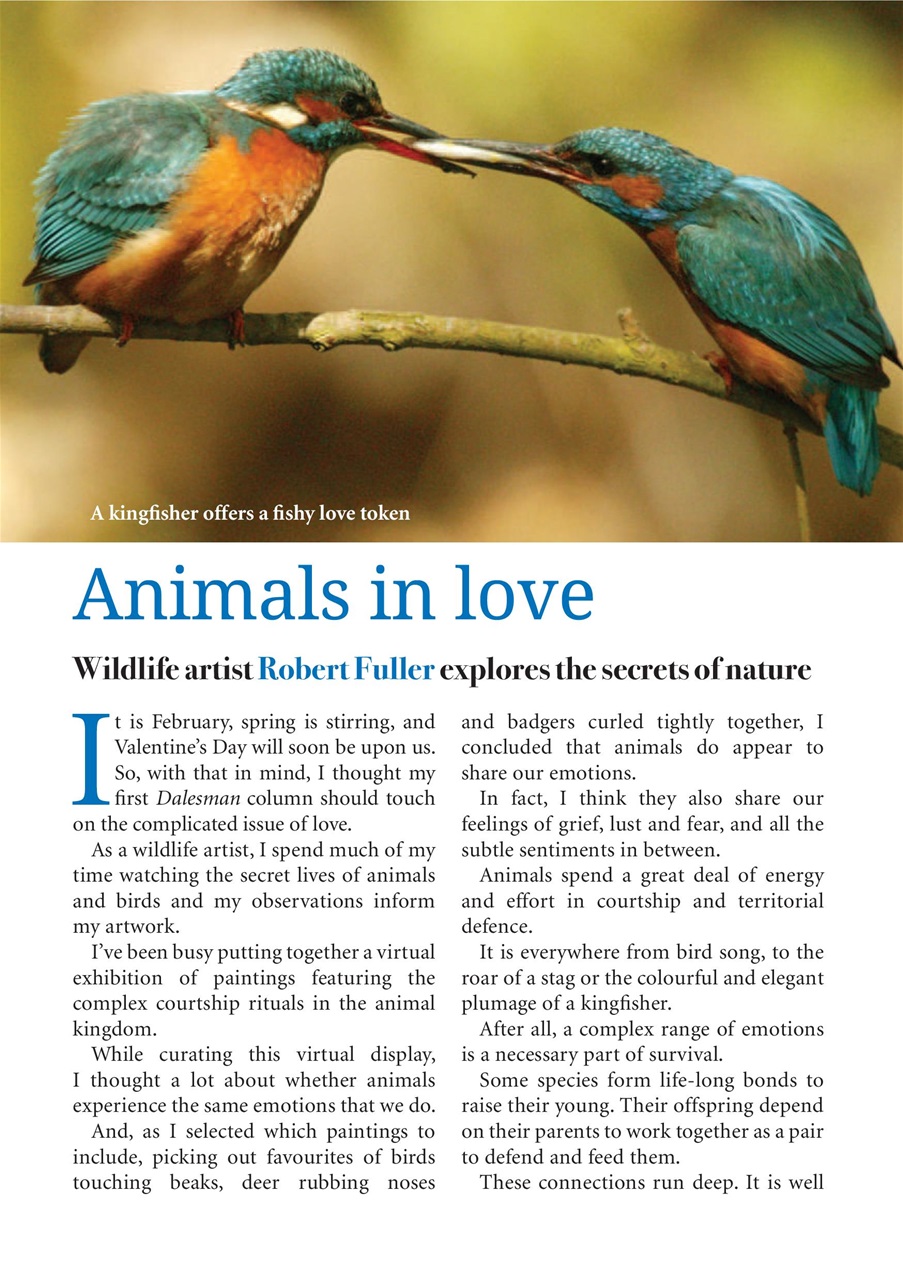 The Yorkshire Dalesman Preview Pages