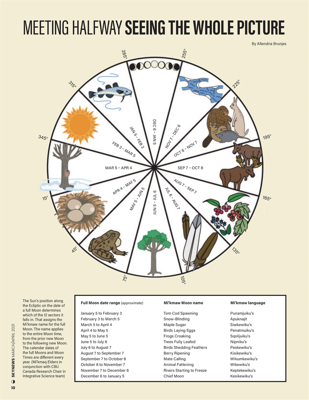 SkyNews Preview Pages