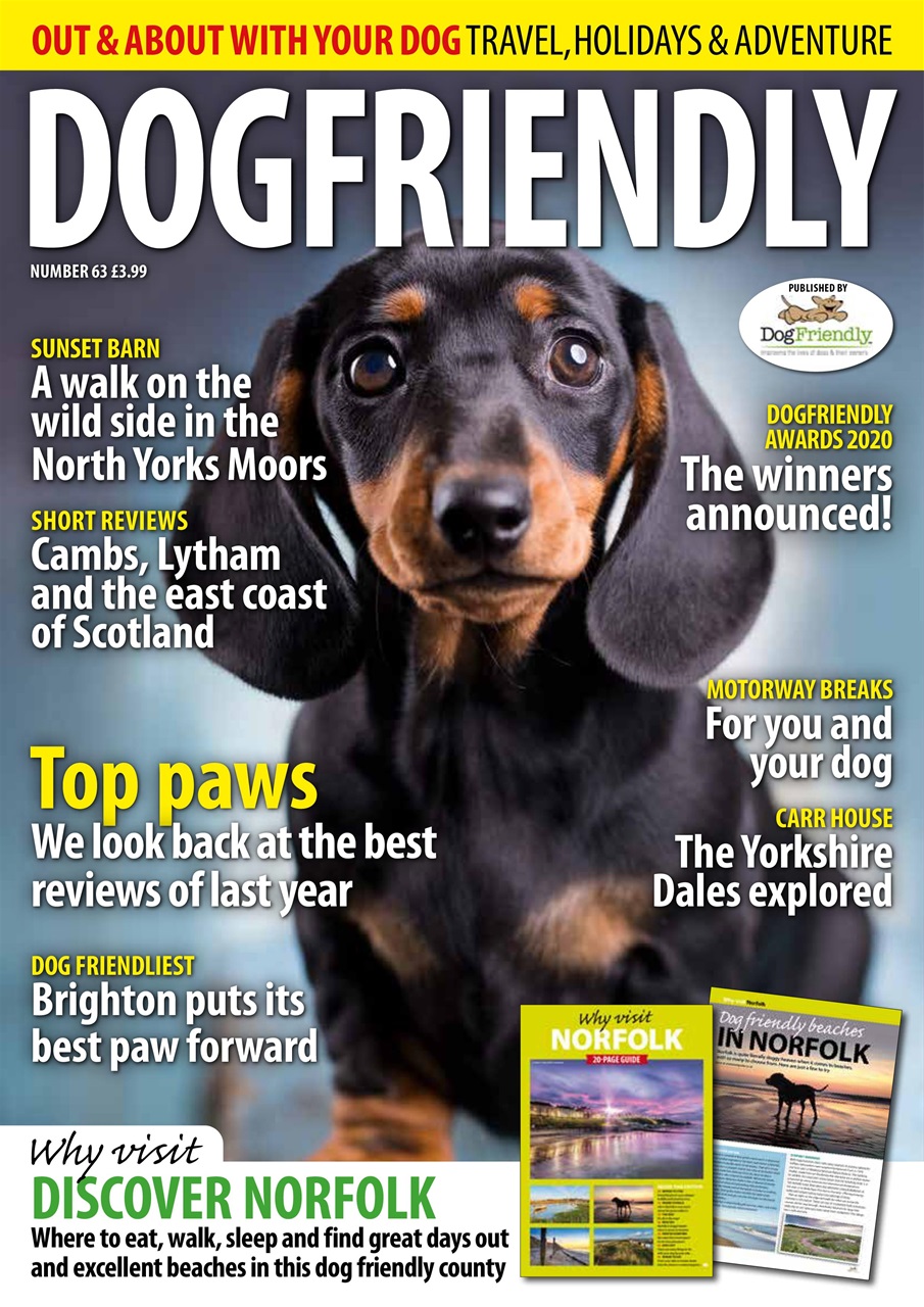 Dog Friendly Preview Pages