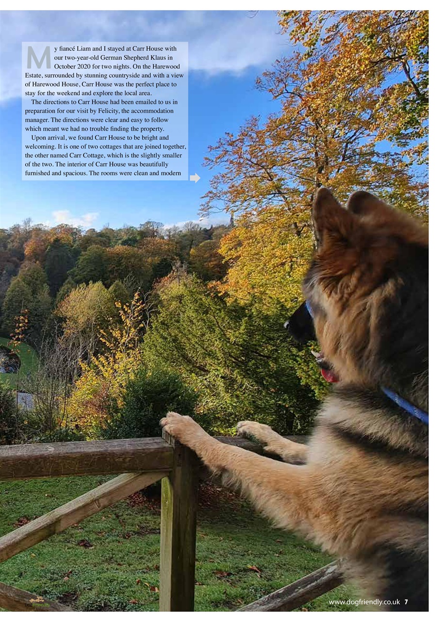 Dog Friendly Preview Pages