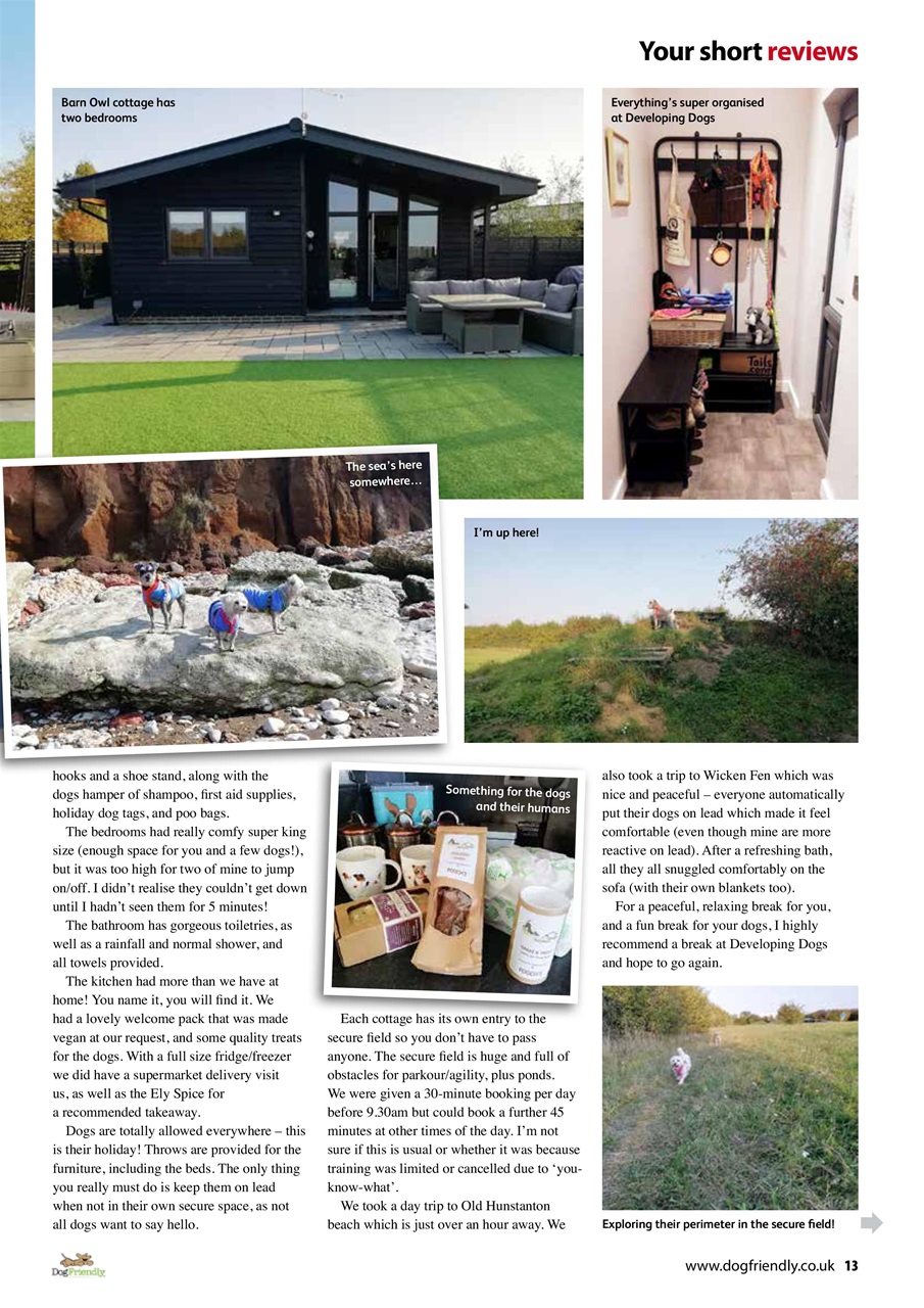 Dog Friendly Preview Pages
