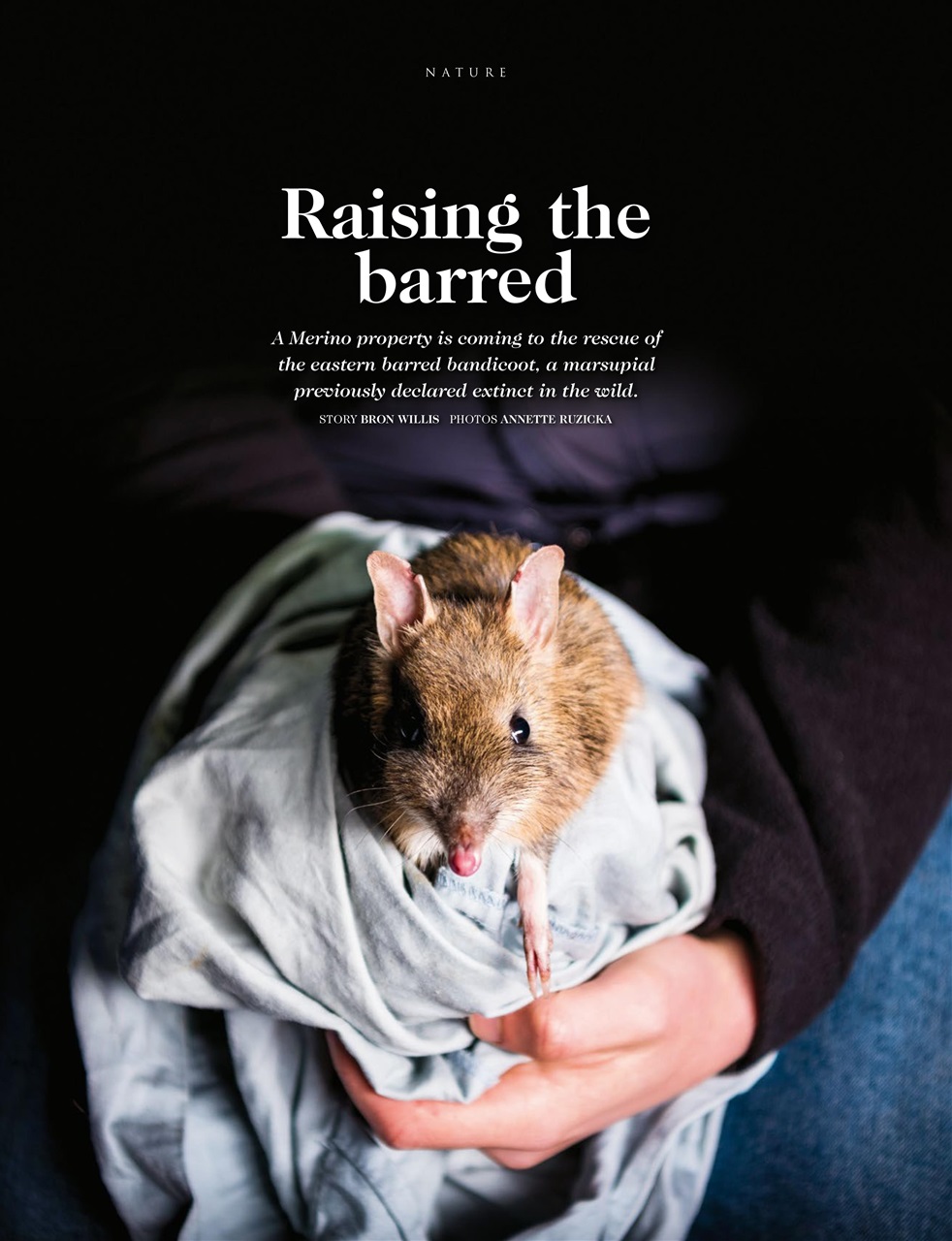 OUTBACK Magazine Preview Pages