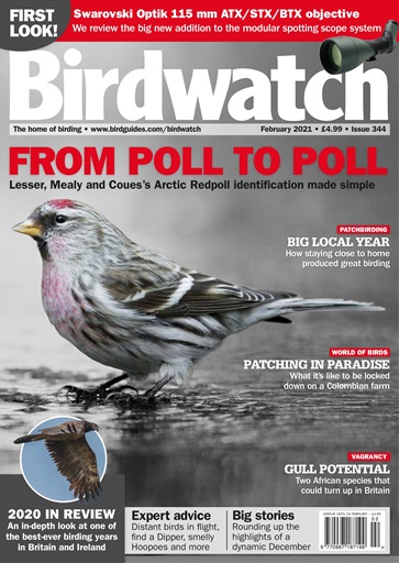 Birdwatch Magazine issue 