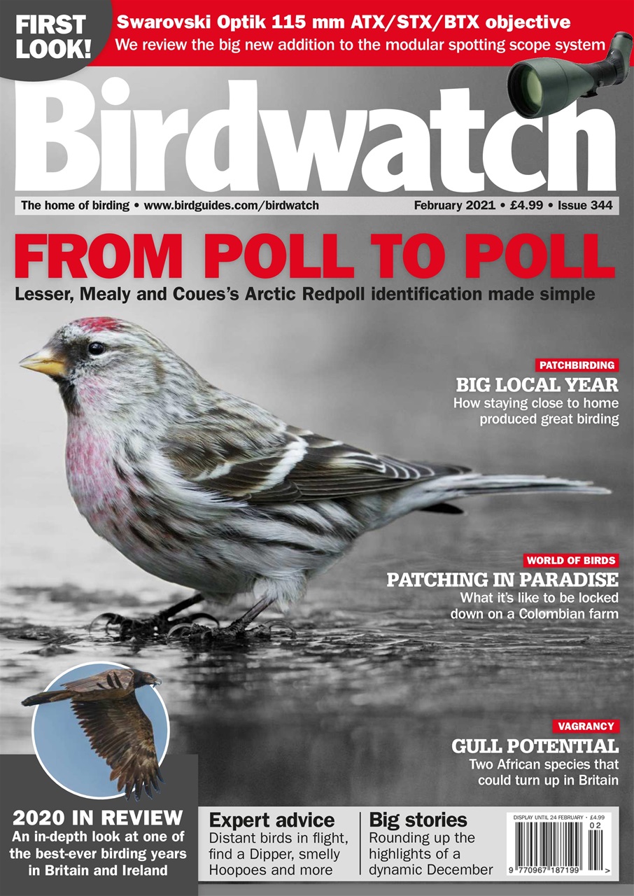 Birdwatch Magazine Preview Pages