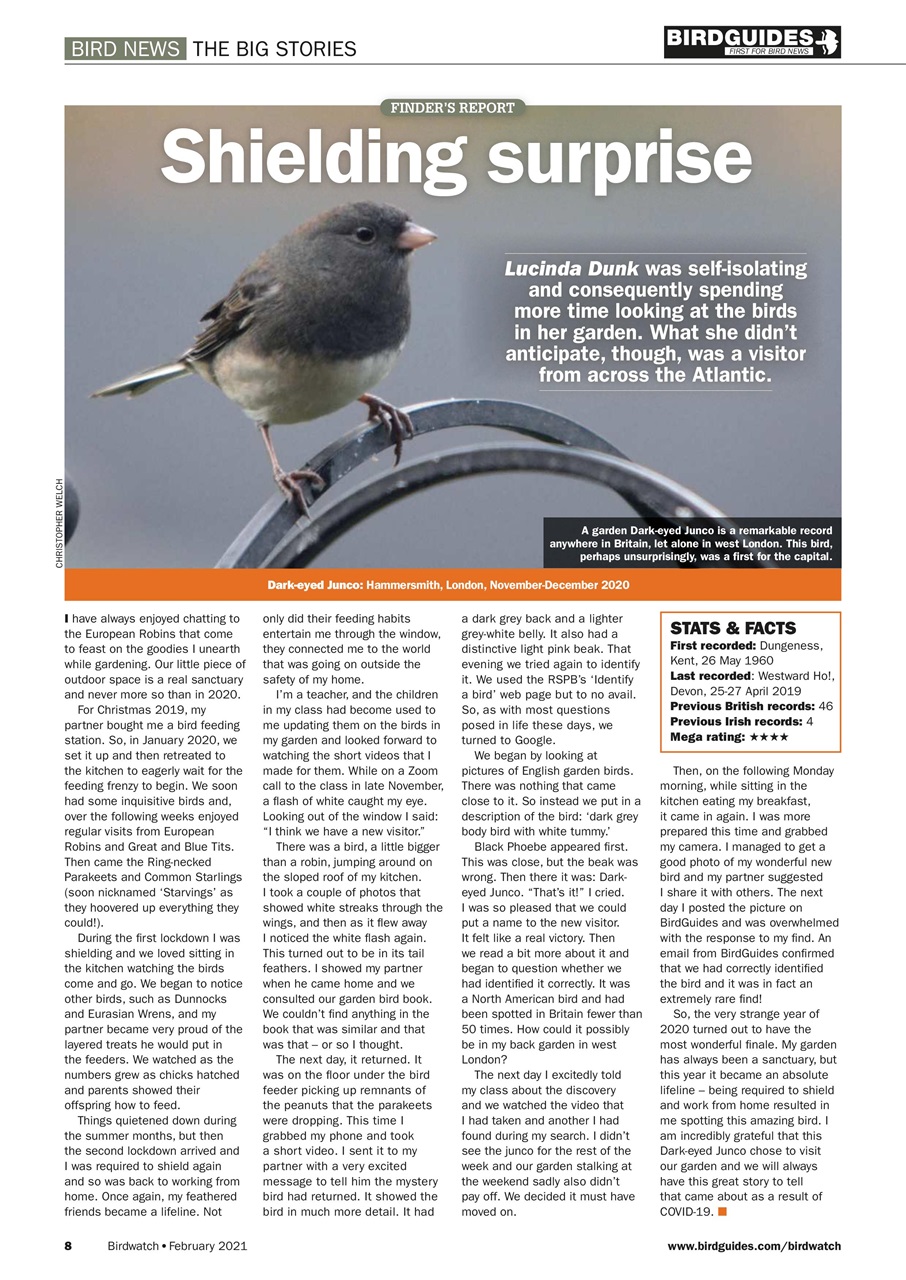 Birdwatch Magazine Preview Pages