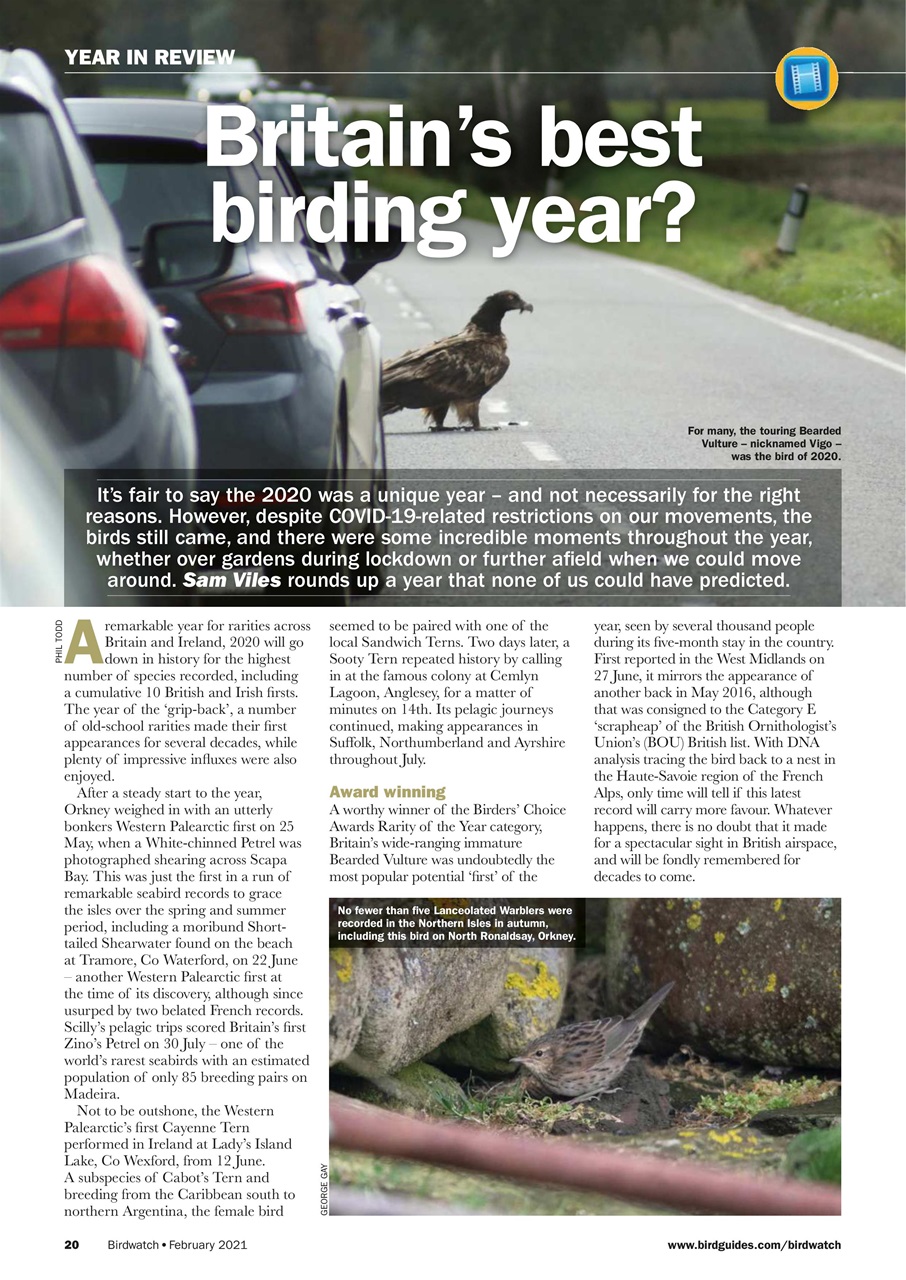 Birdwatch Magazine Preview Pages