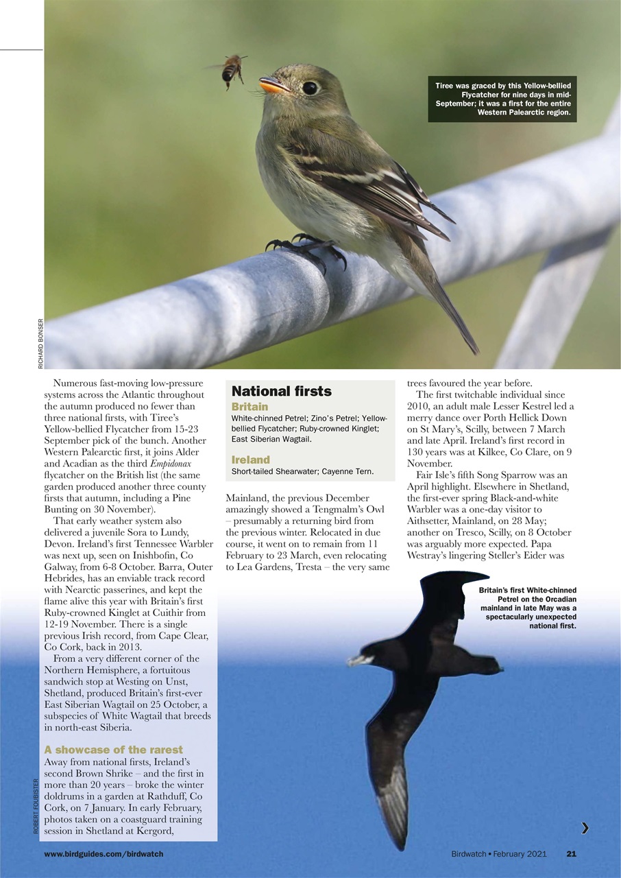 Birdwatch Magazine Preview Pages