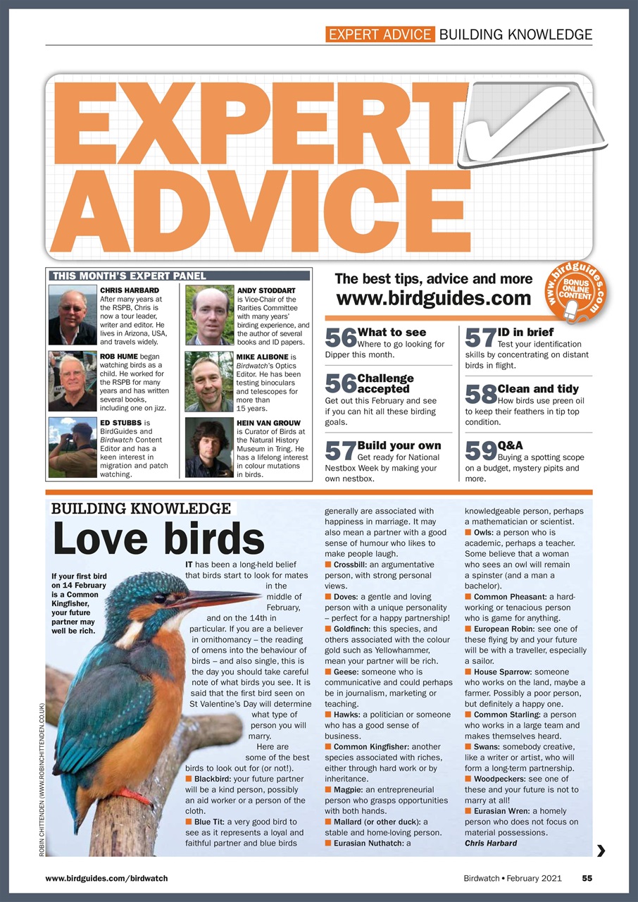 Birdwatch Magazine Preview Pages