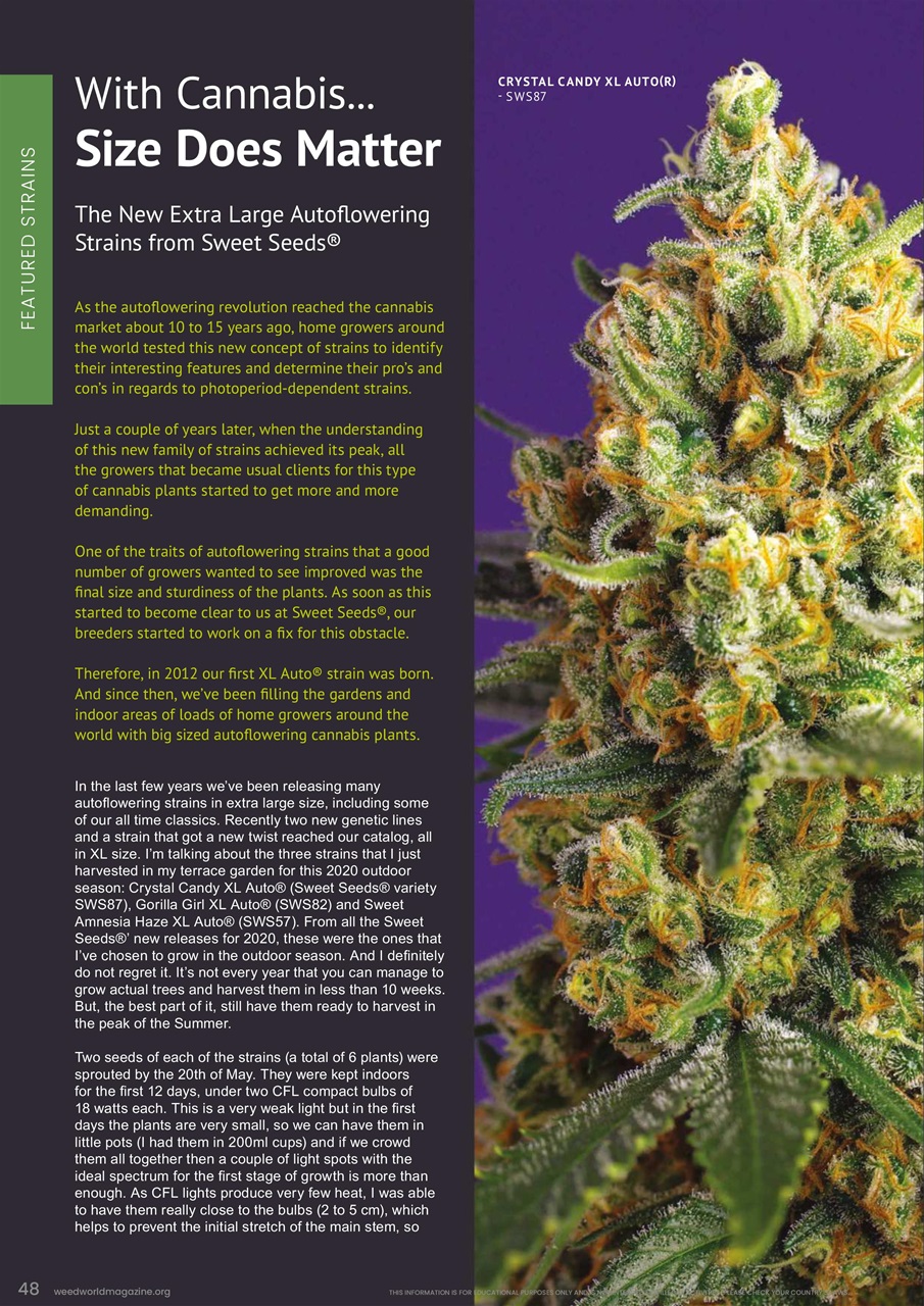 Weed World Preview Pages