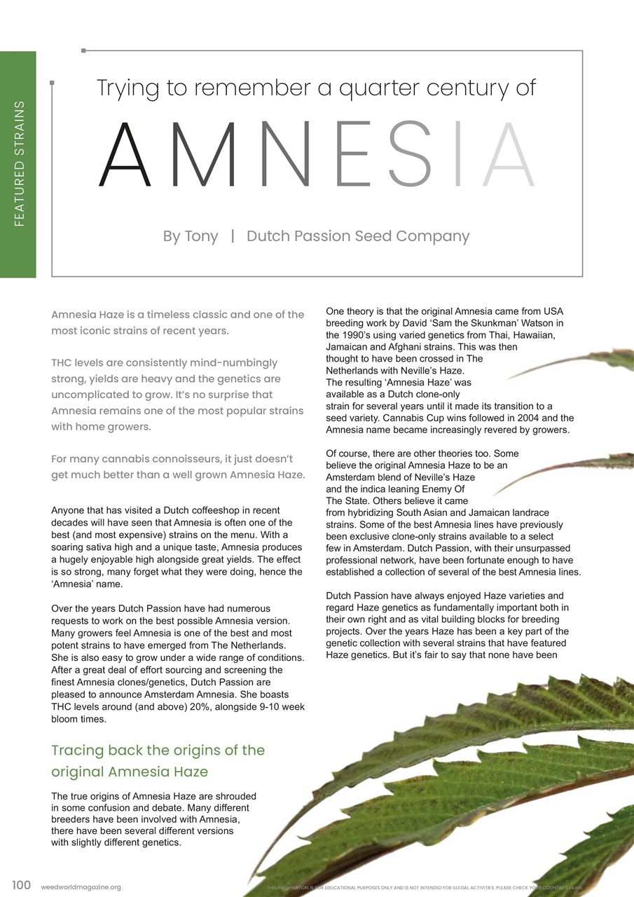 Weed World Preview Pages