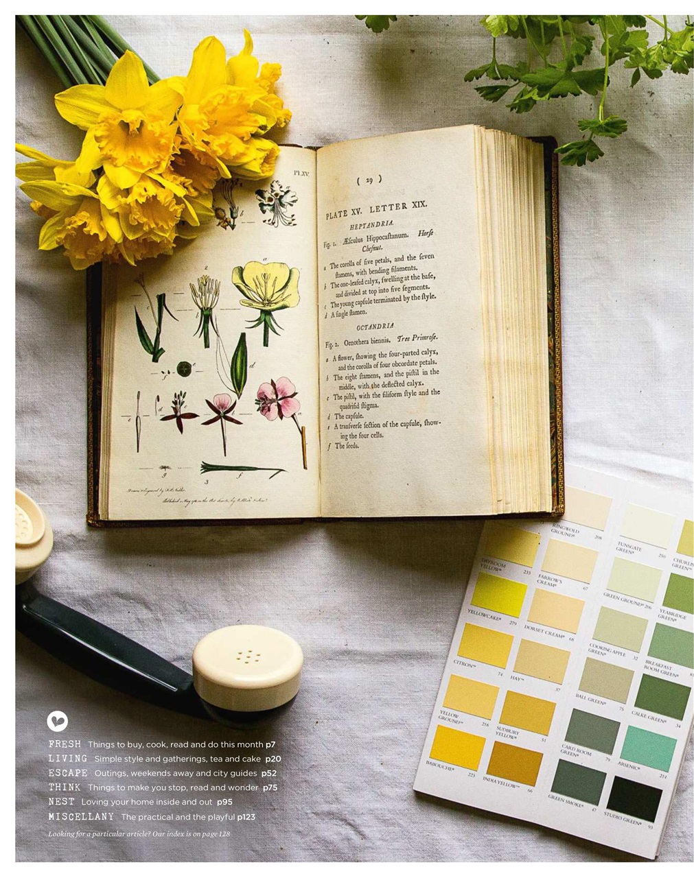 The Simple Things Preview Pages