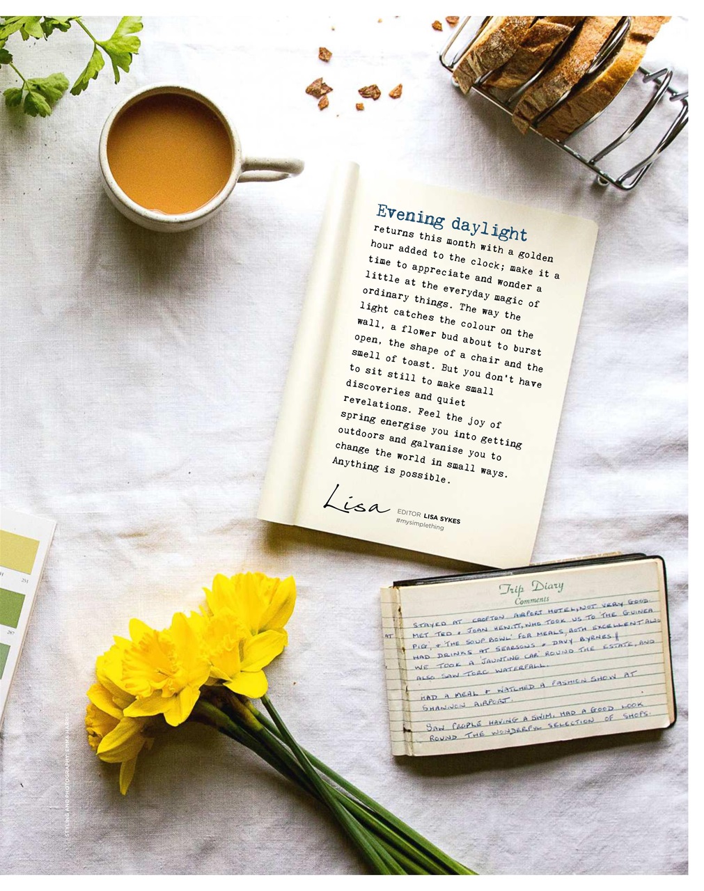 The Simple Things Preview Pages