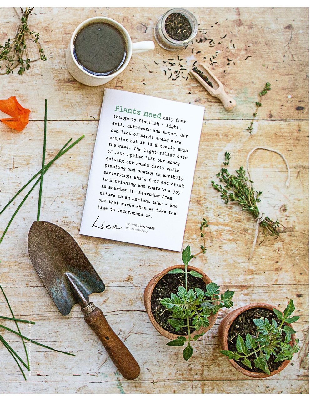 The Simple Things Preview Pages