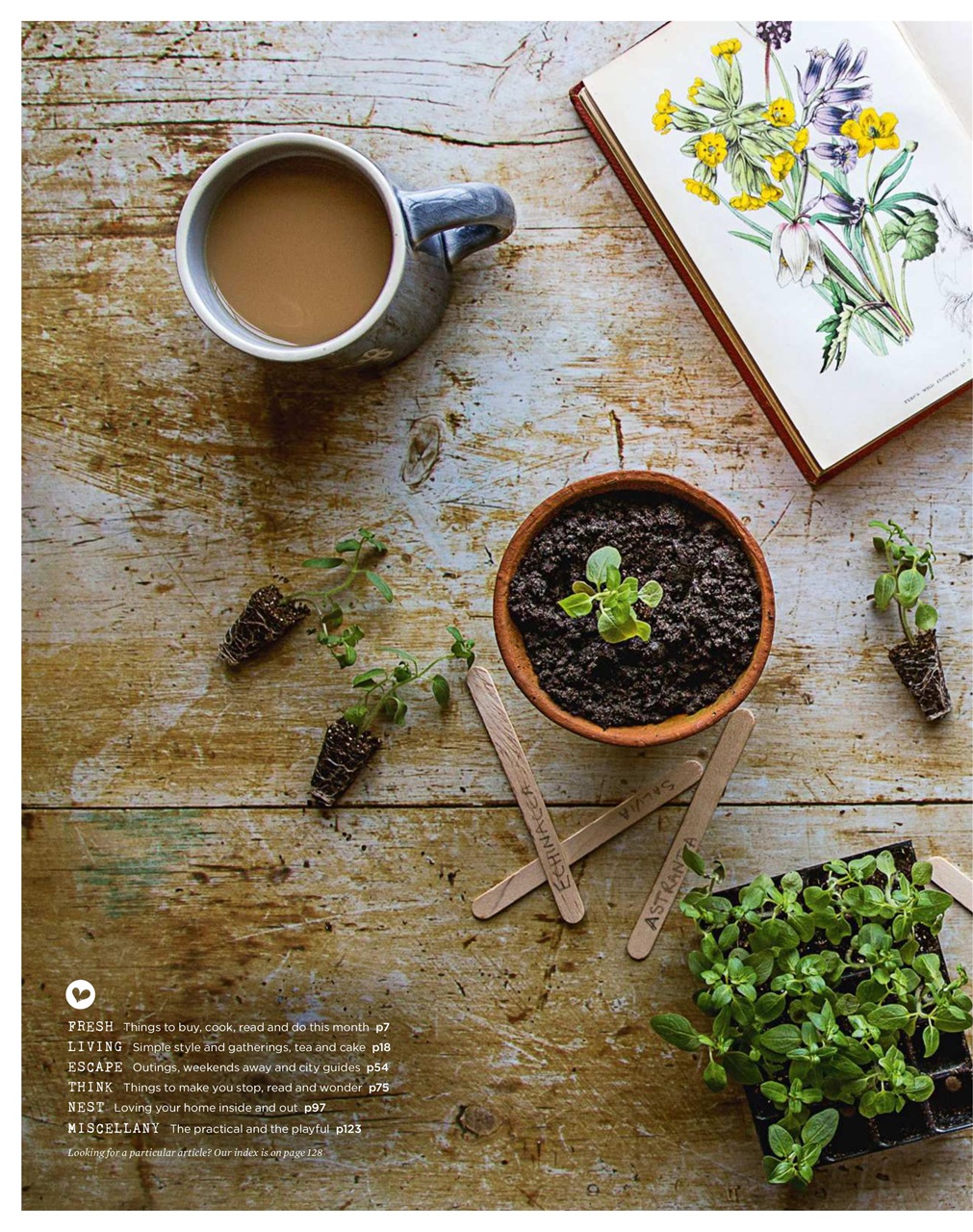 The Simple Things Preview Pages