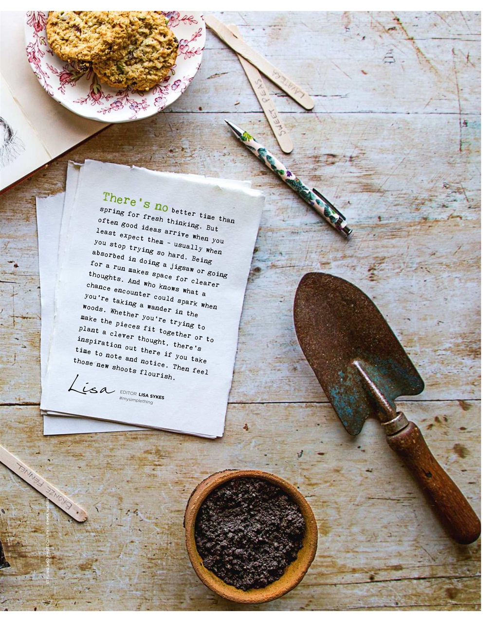 The Simple Things Preview Pages