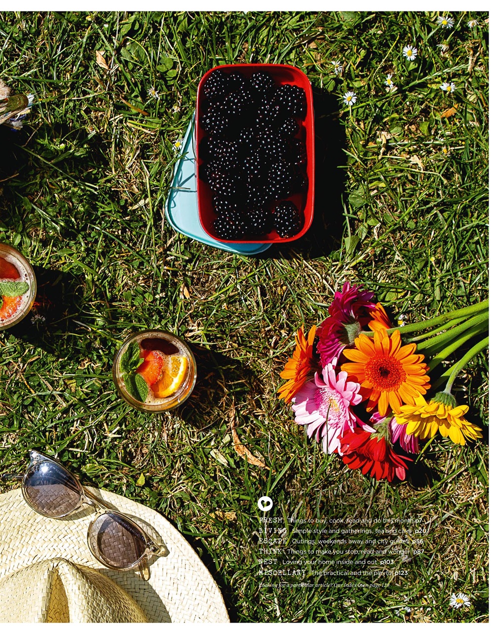 The Simple Things Preview Pages