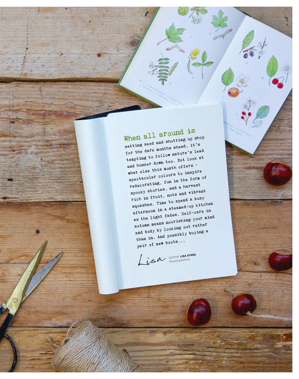 The Simple Things Preview Pages