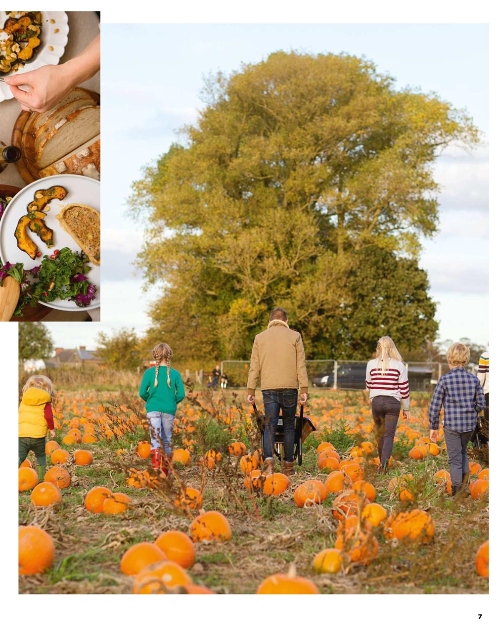 The Simple Things Preview Pages