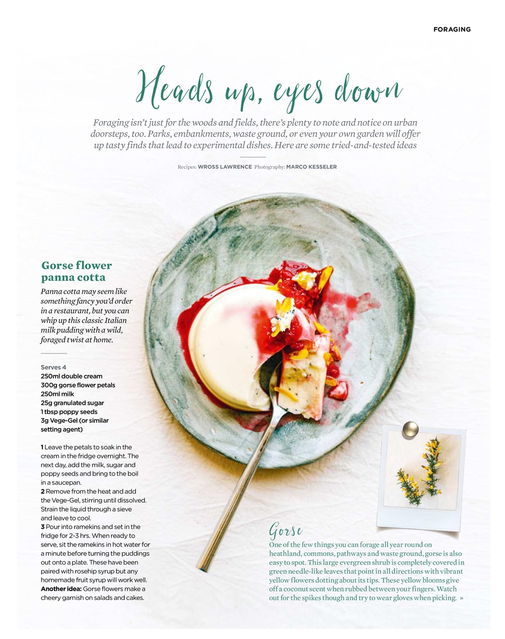 The Simple Things Preview Pages