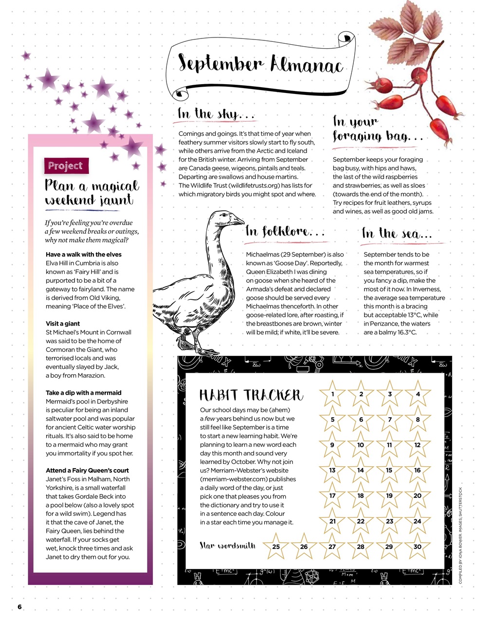 The Simple Things Preview Pages