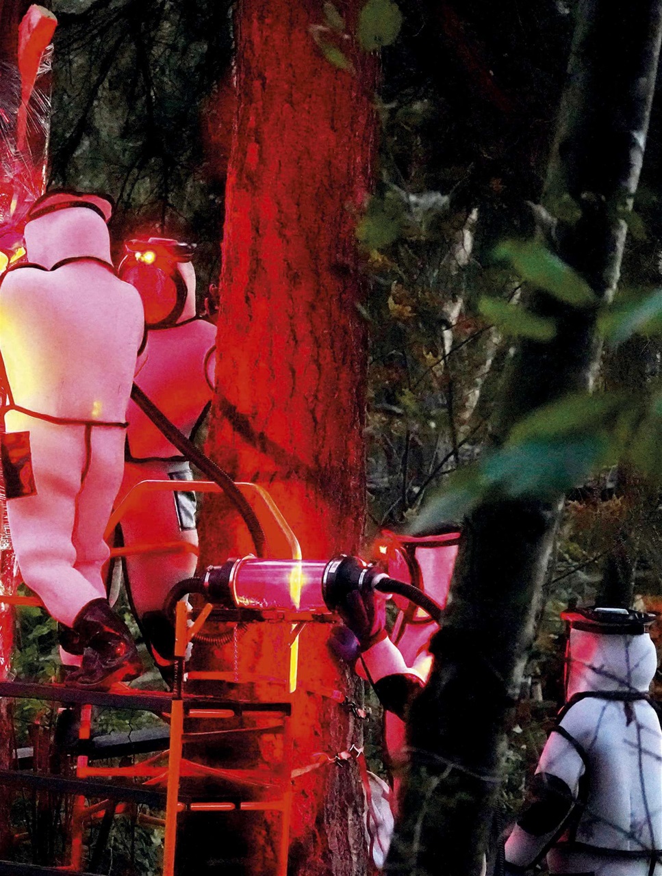 BBC Science Focus Magazine Preview Pages