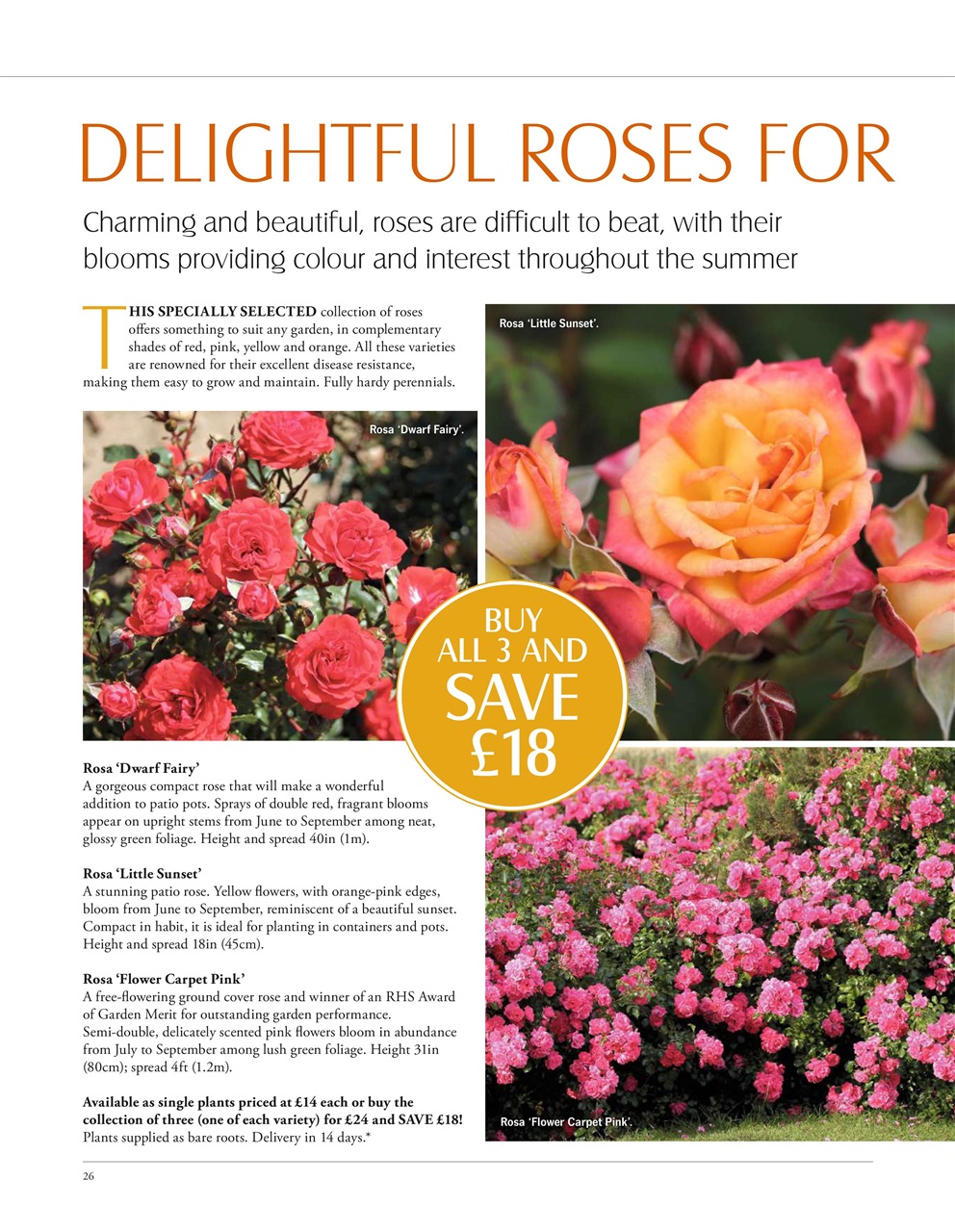 LandScape Preview Pages