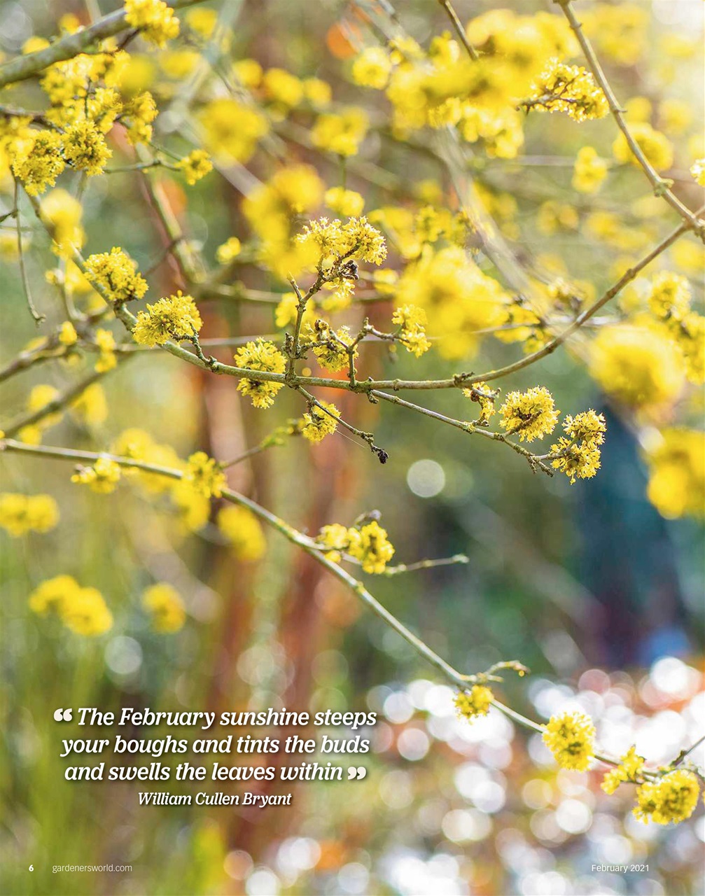 BBC Gardeners’ World Magazine Preview Pages