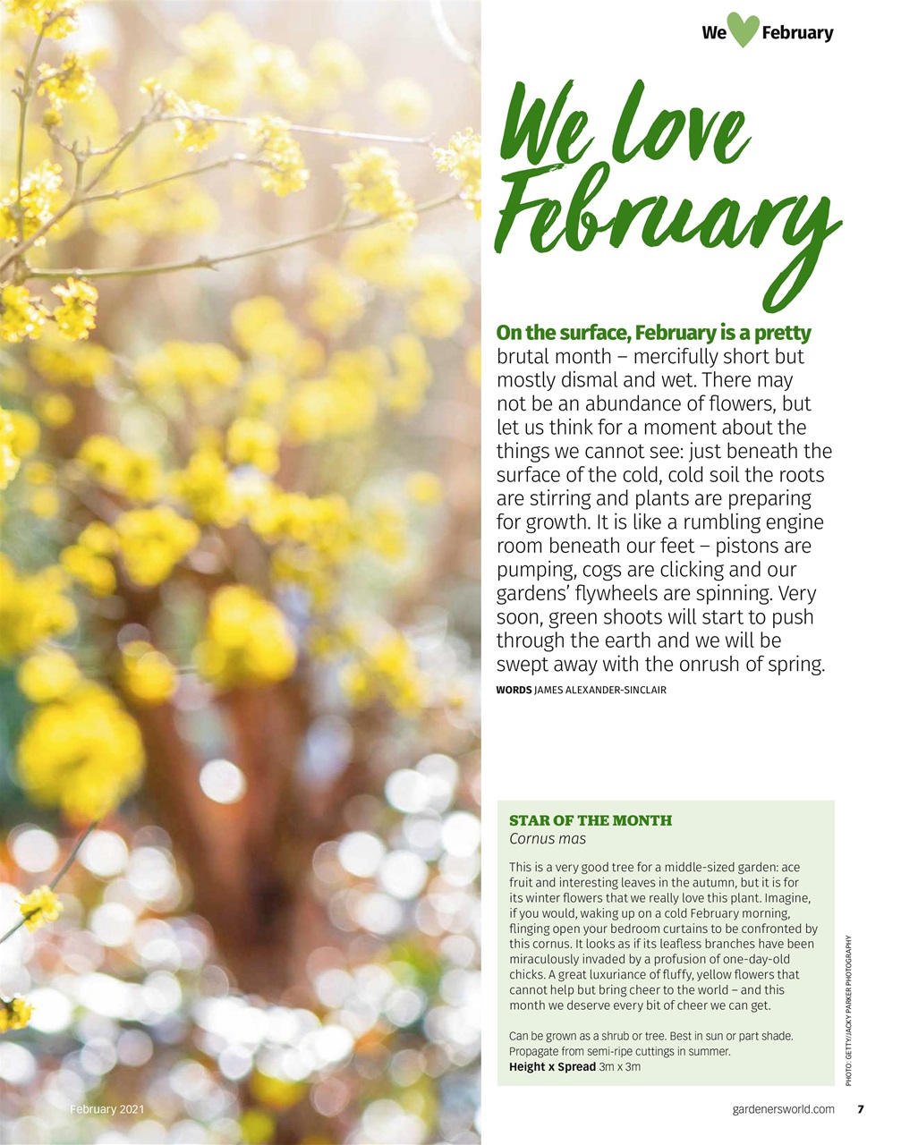 BBC Gardeners’ World Magazine Preview Pages